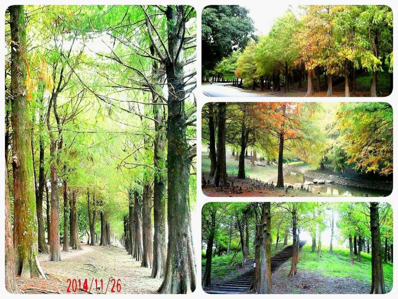 公園 B&B Luodong Bagian luar foto